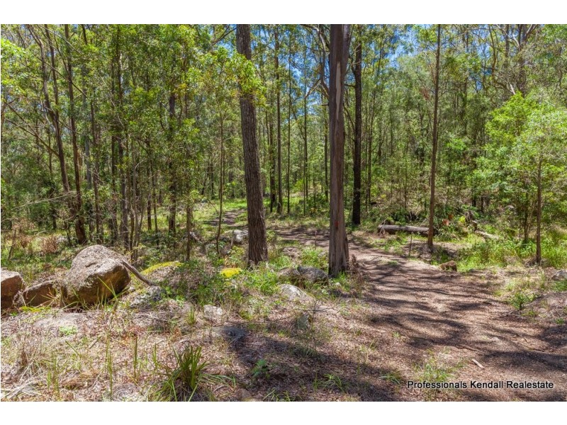 905M Main Western Road, Tamborine Mountain QLD 4272