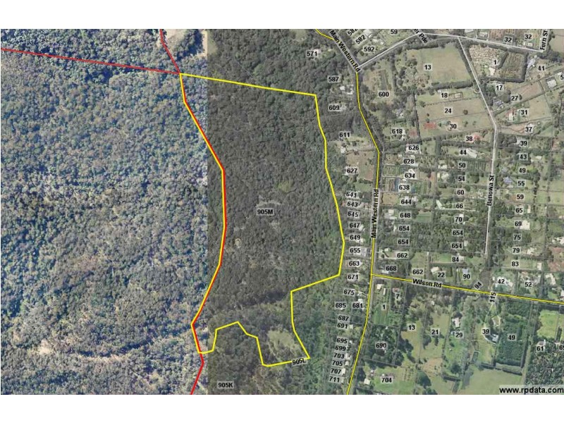 905M Main Western Road, Tamborine Mountain QLD 4272