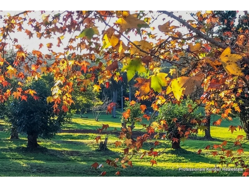 263 Long Road, Tamborine Mountain QLD 4272