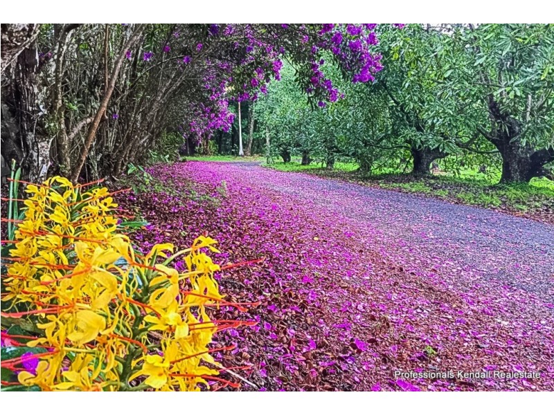 263 Long Road, Tamborine Mountain QLD 4272