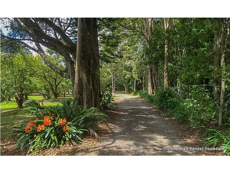 263 Long Road, Tamborine Mountain QLD 4272