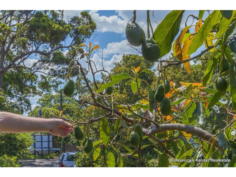 100 Main Western Road, Tamborine Mountain QLD 4272