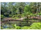 48 Kinabalu Drive, Tamborine Mountain QLD 4272