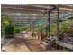 48 Kinabalu Drive, Tamborine Mountain QLD 4272