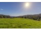 52 The Shelf Road, Tamborine Mountain QLD 4272