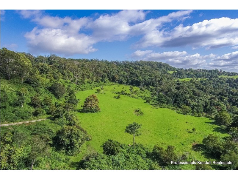 52 The Shelf Road, Tamborine Mountain QLD 4272