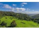 52 The Shelf Road, Tamborine Mountain QLD 4272