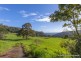 52 The Shelf Road, Tamborine Mountain QLD 4272