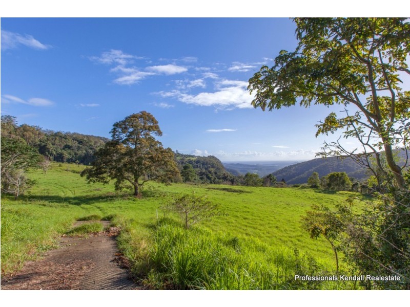 52 The Shelf Road, Tamborine Mountain QLD 4272