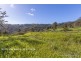 52 The Shelf Road, Tamborine Mountain QLD 4272