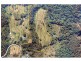 52 The Shelf Road, Tamborine Mountain QLD 4272