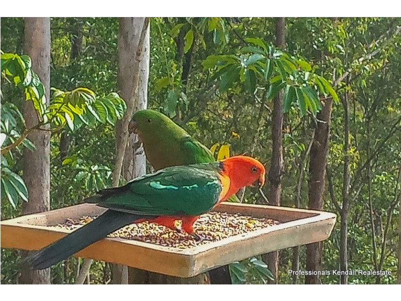 30 Java Court, Tamborine Mountain QLD 4272
