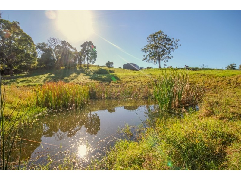 109 Rowe Rd, Canungra QLD 4275