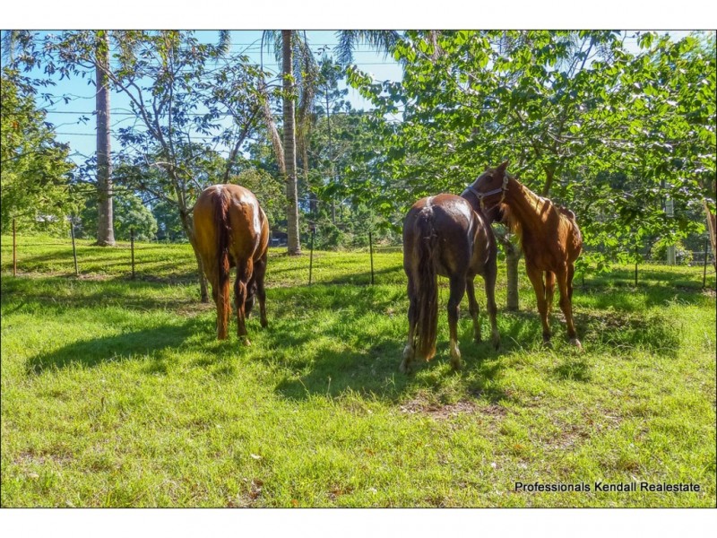 2 Shay Place, Canungra QLD 4275