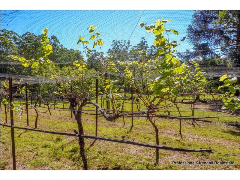 2 Shay Place, Canungra QLD 4275