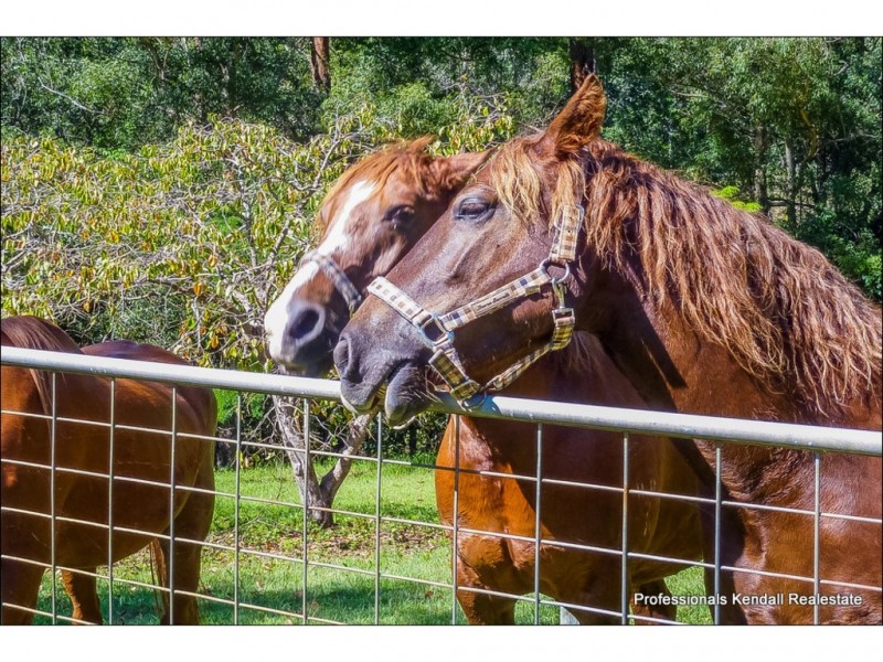2 Shay Place, Canungra QLD 4275