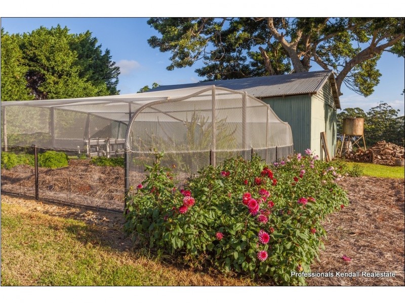 102 Beacon Road, Tamborine Mountain QLD 4272