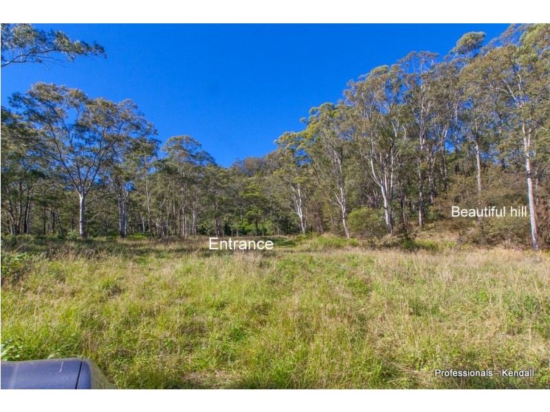 905A Main Western Road, Tamborine Mountain QLD 4272