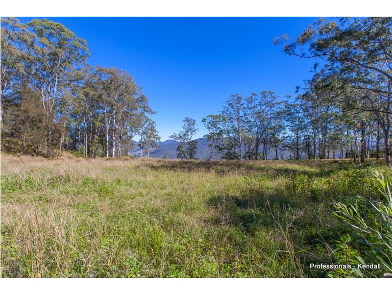 905A Main Western Road, Tamborine Mountain QLD 4272