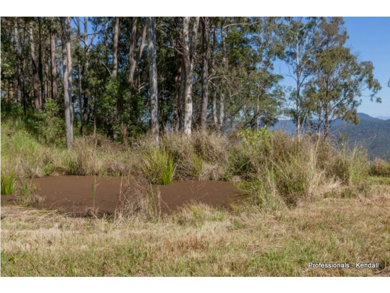 905A Main Western Road, Tamborine Mountain QLD 4272
