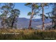 905A Main Western Road, Tamborine Mountain QLD 4272