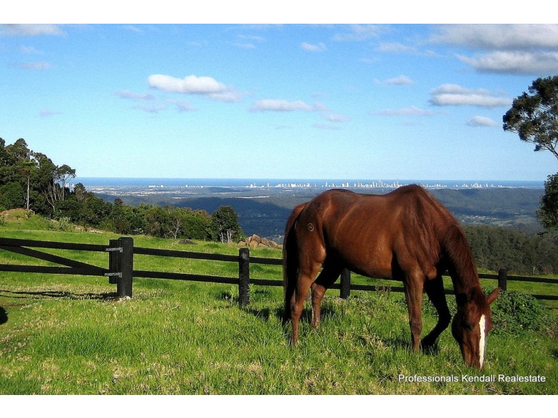 Lot 8 – 163 Curtis Road, Tamborine Mountain QLD 4272