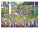 10 North Street, Tamborine Mountain QLD 4272