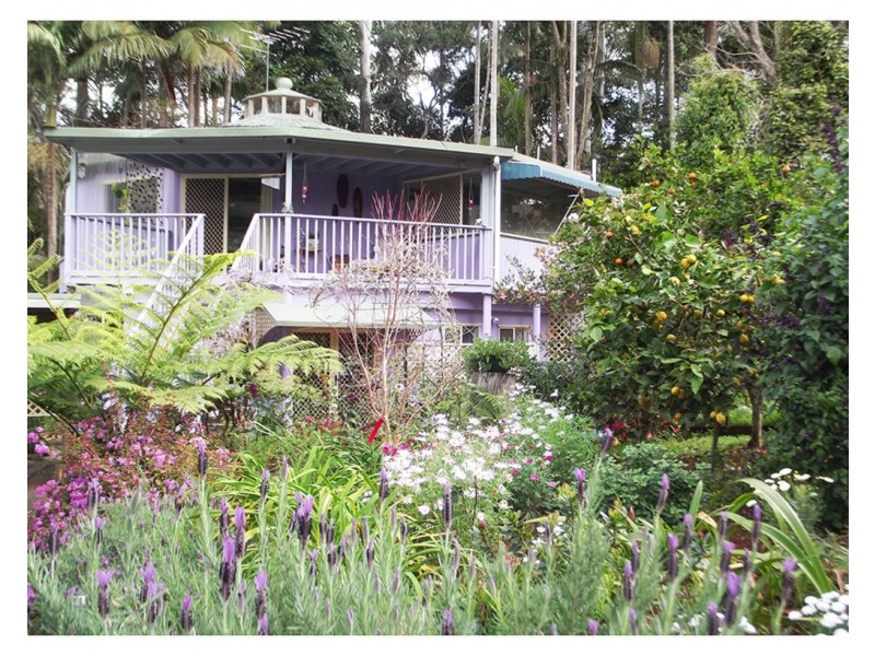 10 North Street, Tamborine Mountain QLD 4272