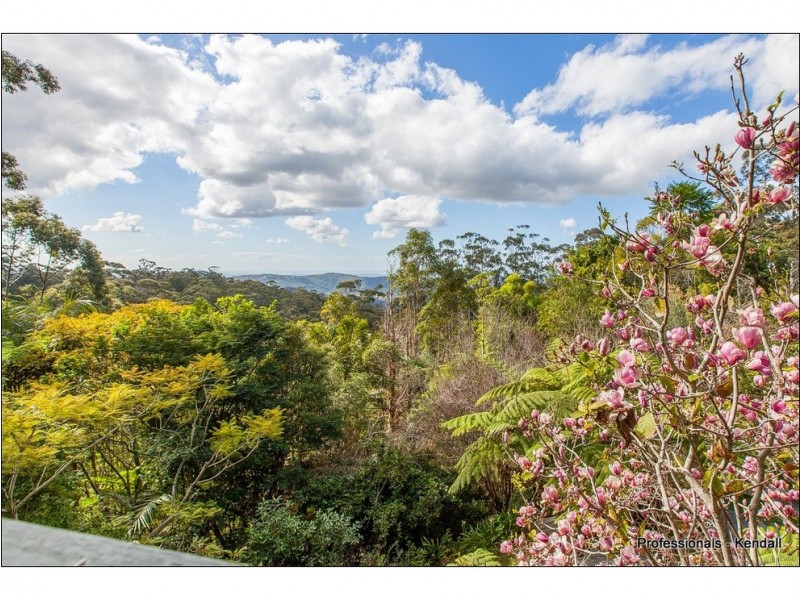 67 Contour Road, Tamborine Mountain QLD 4272