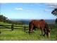 Lot 8 – 163 Curtis Road., Tamborine Mountain QLD 4272