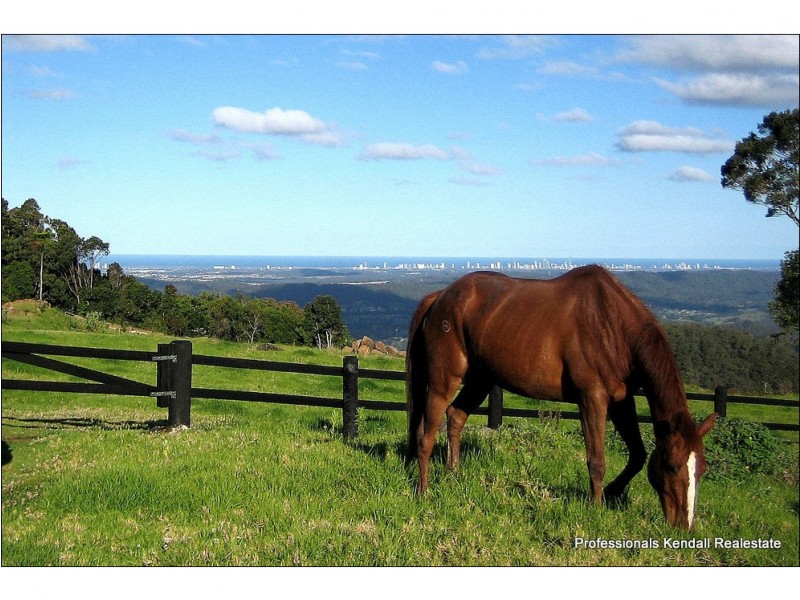 Lot 8 – 163 Curtis Road., Tamborine Mountain QLD 4272
