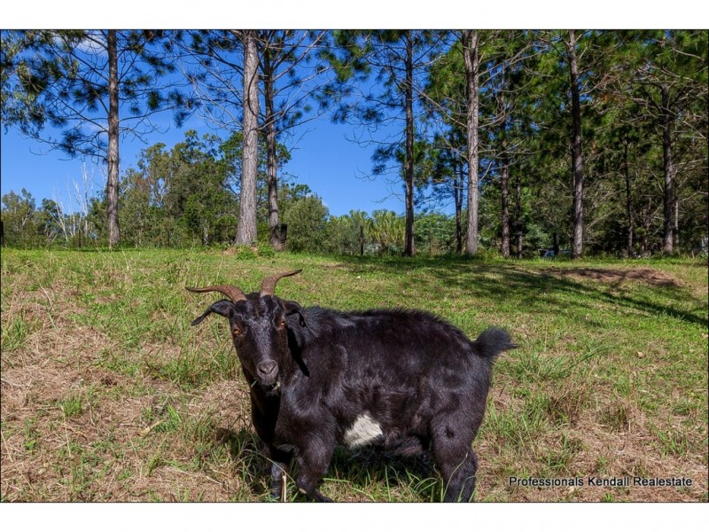 186 Boomerang Road, Tamborine QLD 4270