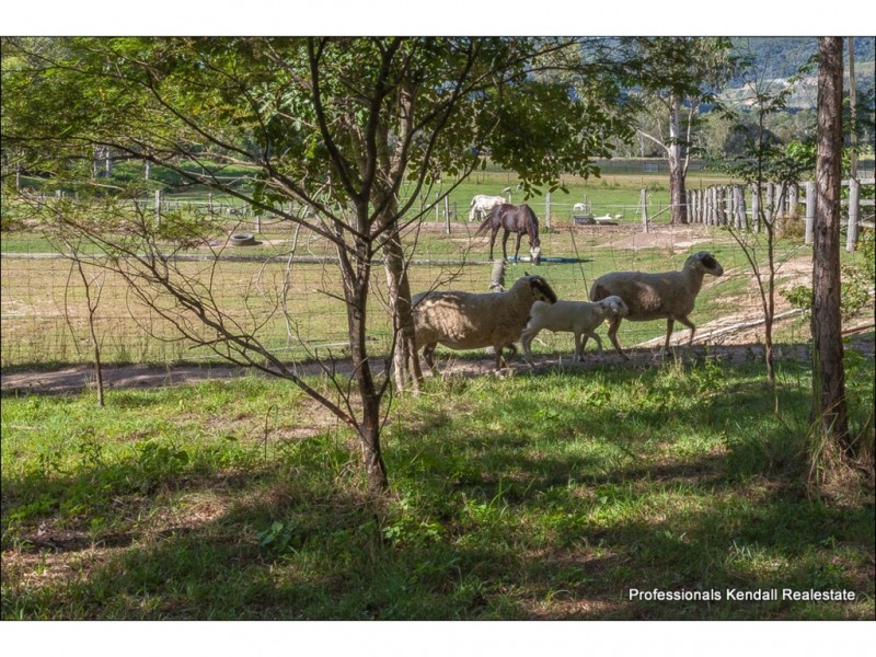 186 Boomerang Road, Tamborine QLD 4270