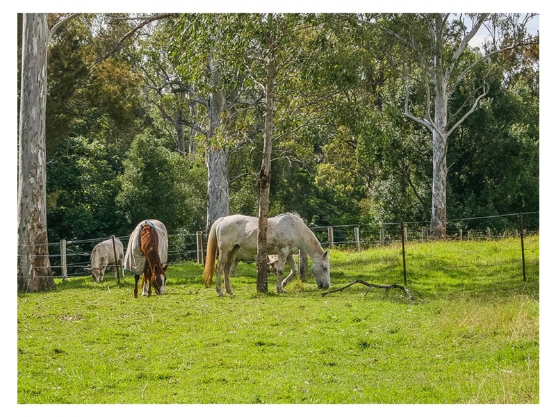 186 Boomerang Road, Tamborine QLD 4270