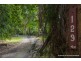 129 Alpine Terrace, Tamborine Mountain QLD 4272