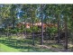 1 Shorthorn Court., Tamborine QLD 4270