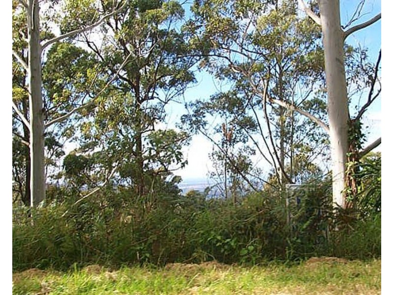75 Contour Road, Tamborine Mountain QLD 4272