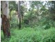 75 Contour Road, Tamborine Mountain QLD 4272