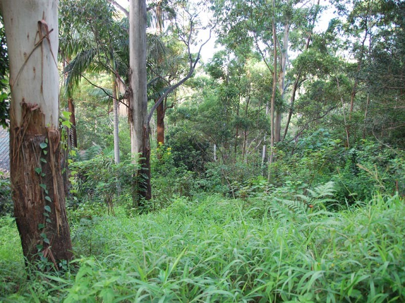 75 Contour Road, Tamborine Mountain QLD 4272