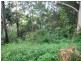 75 Contour Road, Tamborine Mountain QLD 4272