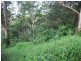 75 Contour Road, Tamborine Mountain QLD 4272