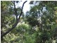75 Contour Road, Tamborine Mountain QLD 4272