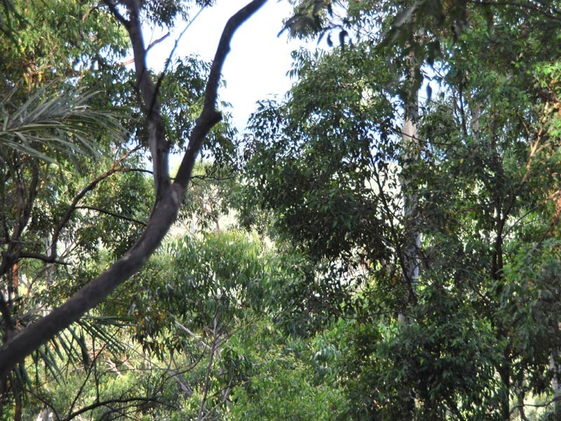 75 Contour Road, Tamborine Mountain QLD 4272