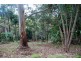 75 Contour Road, Tamborine Mountain QLD 4272