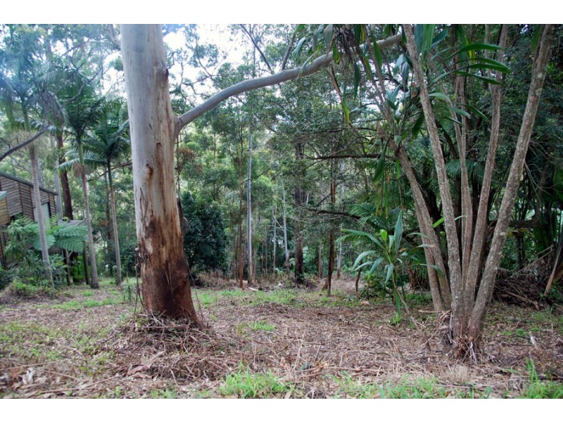 75 Contour Road, Tamborine Mountain QLD 4272