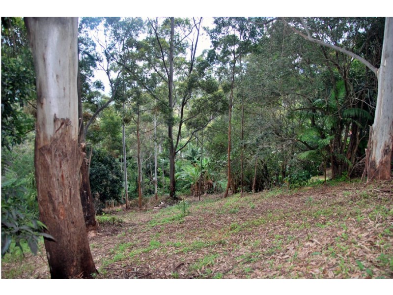 75 Contour Road, Tamborine Mountain QLD 4272