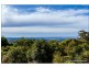 27 Witherby Cresent, Tamborine Mountain QLD 4272