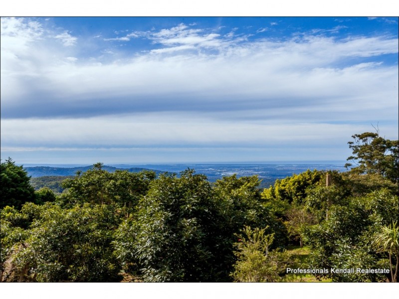 27 Witherby Cresent, Tamborine Mountain QLD 4272