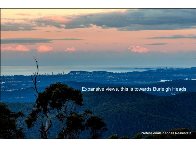 101 Guanaba Road, Tamborine Mountain QLD 4272