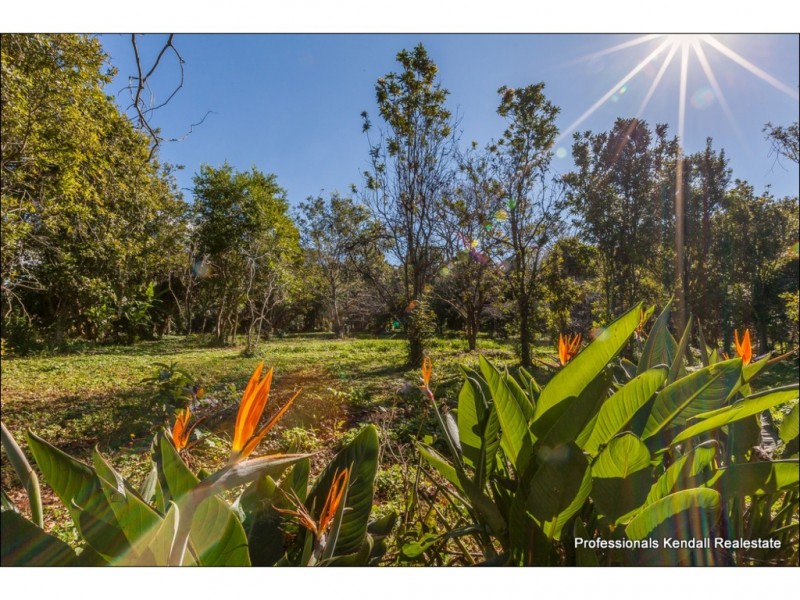 658 Main Western Rd, Tamborine Mountain QLD 4272